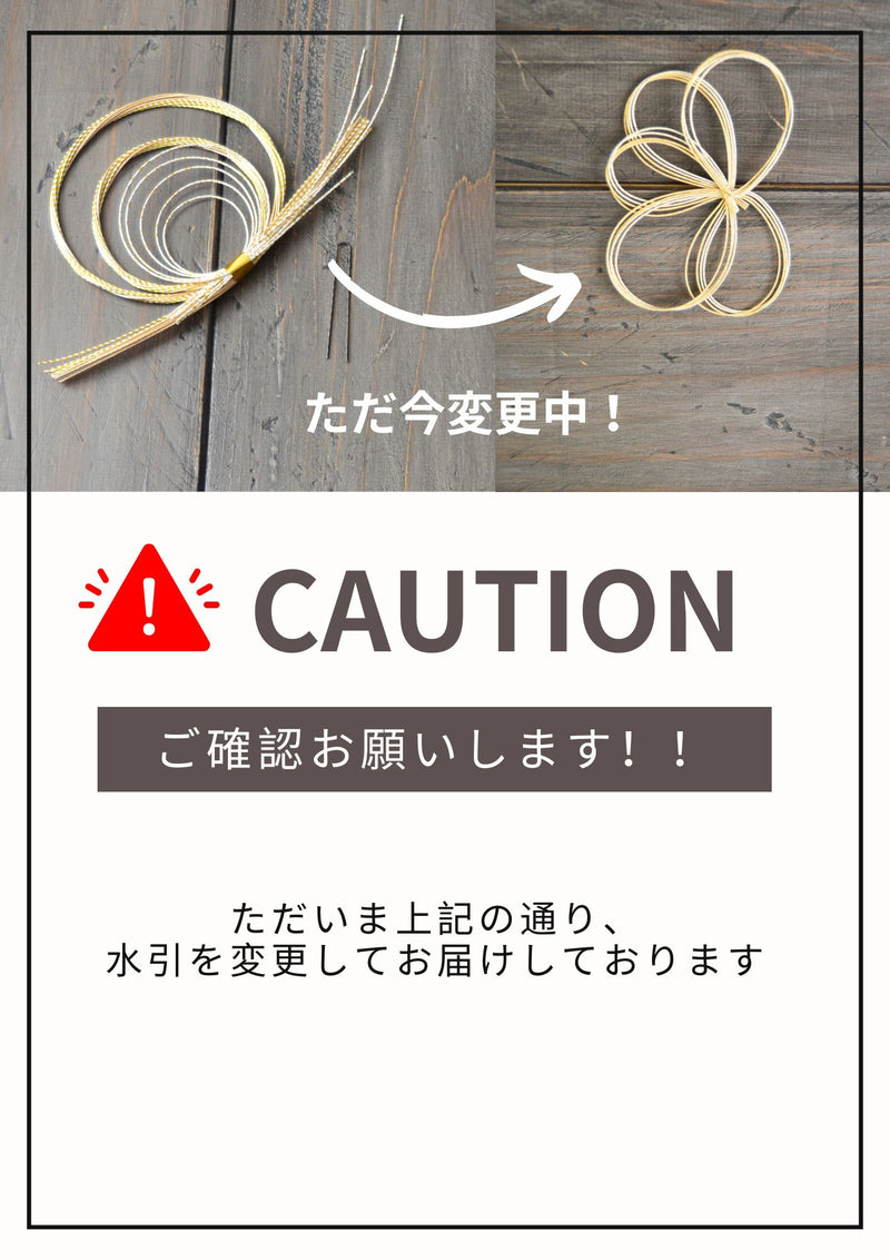 和装 成人式 髪飾り シャイニー 胡蝶蘭
