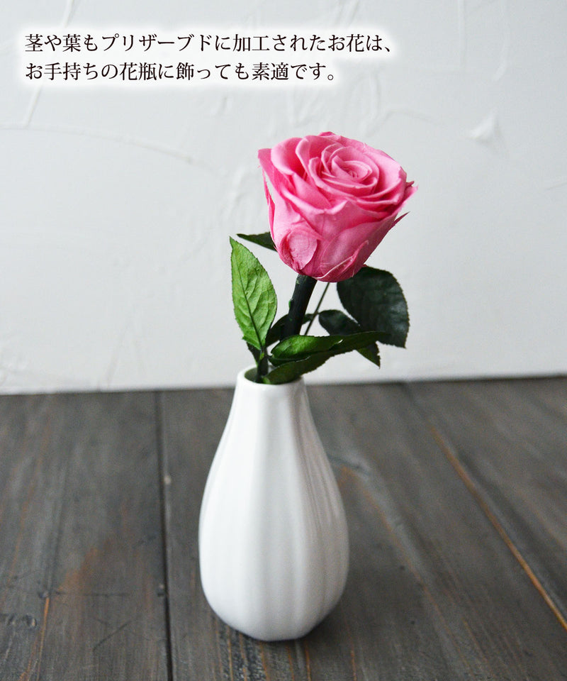 【平日午前中の注文で当日出荷】プリザーブドフラワー バラ 1輪 プリザーブド ローズ  プリザーブ バラ 花束 ブーケ 卒業 卒業式 卒園 退職 記念品 小さい 誕生日 ミニ花束 お祝い   |  母の日 退職祝 卒園式 発表会 送別会 フラワー
