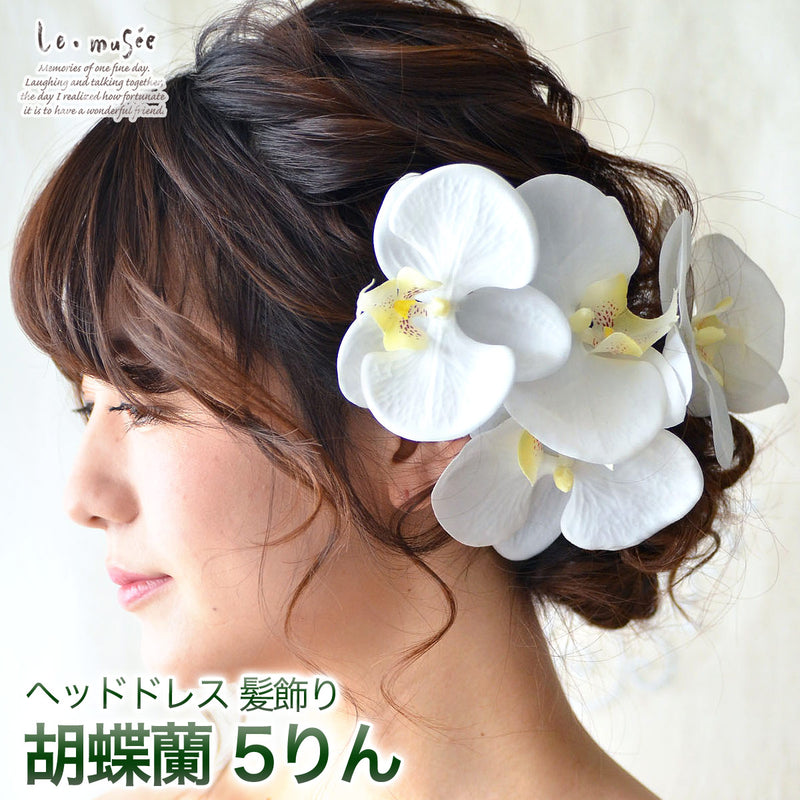 成人式 髪飾り 和装 ヘッドドレス ウェディング 胡蝶蘭 5輪 | 花