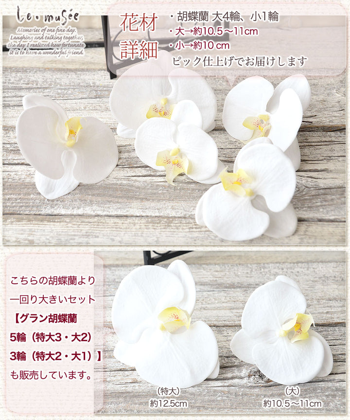 数量限定】ヘッドドレス～コチョウランのレッドゴールドstyle～ 和装