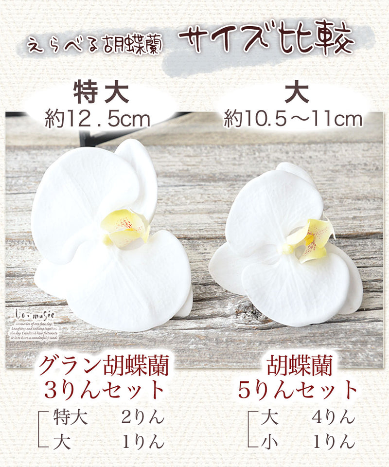 袴 リボン 卒業式 髪飾り 和リボン胡蝶蘭 全5色 送料無料
