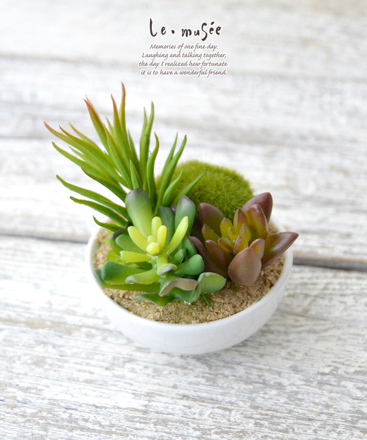 400100002-m-01-dl_720x.jpg?v=